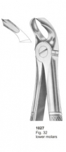  Fig. 32 lower molars 